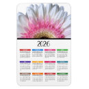 Search for white gerbera daisy Bridal