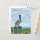 Search for browning postcards Bird