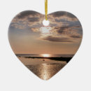 Search for skies christmas tree decorations Photography