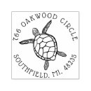 Search for snapping turtle Aquatic