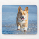 Search for welsh corgi mousepads Ocean