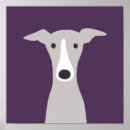 Search for whippet dog posters Cute
