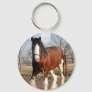 Search for draughts key rings Clydesdale