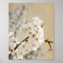 Search for tapestry posters Flowers