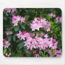 Search for rhododendron mousepads Floral
