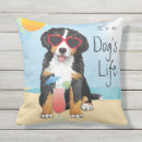 Search for bernese mountain dog cushions Puppy