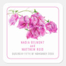 Search for bougainvillea stickers Pink