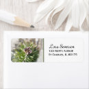 Search for tree branches return address labels Nature