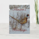 Search for pheasant cards Hunting