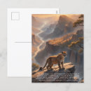 Search for cougar postcards Wildlife