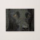 Search for black labrador puzzles Cute