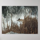 Search for winter solstice posters Nature