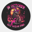 Search for pink witch stickers Cancer
