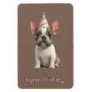 Search for hound puppy magnets Cute dogs