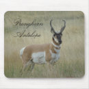 Search for wildlife mousepads Outdoors