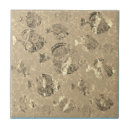 Search for gold fish tiles Golden