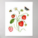 Search for strawberry kitchen decor Vintage