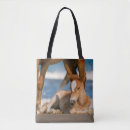 Search for foal bags Colt