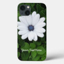 Search for african daisy electronics Beautiful
