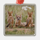 Search for grassland christmas tree decorations Mammal