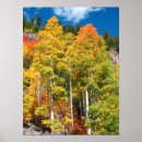 Search for basalt posters Nature