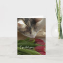 Search for love your cat cards I love you