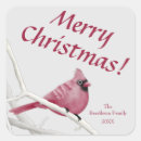 Search for red cardinal stickers Birds