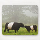 Search for sided mousepads Usa