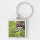 Search for butterfly pics key rings Floral