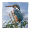 Search for kingfisher tiles Colourful