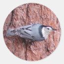 Search for nuthatch stickers Animals