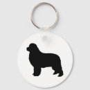 Search for newfoundland dogs key rings Animals