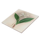 Search for 6x6 posters Orchid