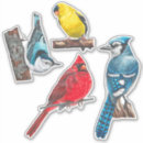 Search for backyard bird stickers Birding