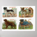 Search for dog kennel posters Bulldog