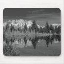Search for tetons electronics Forest