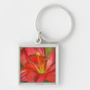 Search for alert key rings Red