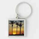 Search for nightfall accessories David
