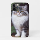 Search for banjo iphone cases Cat