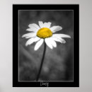 Search for daisy flower art Yellow