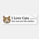 Search for taste bumper stickers Cat
