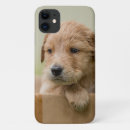 Search for golden retriever puppy iphone cases Pet