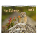 Search for mice calendars Animal