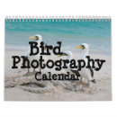 Search for observing photography Bird watching
