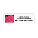 Search for gerbera return address labels Daisy