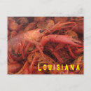 Search for crawfish postcards Cajun