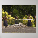Search for polynesian posters Viti levu