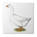 Search for goose tiles Gander