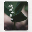 Search for green bell electronics White