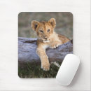 Search for wildcats mousepads Lion